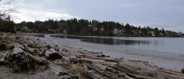 An image of Cadboro Bay Beach