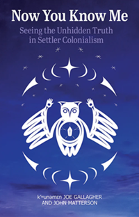 Now You See Me book cover, blue background with white text and Indigenous art