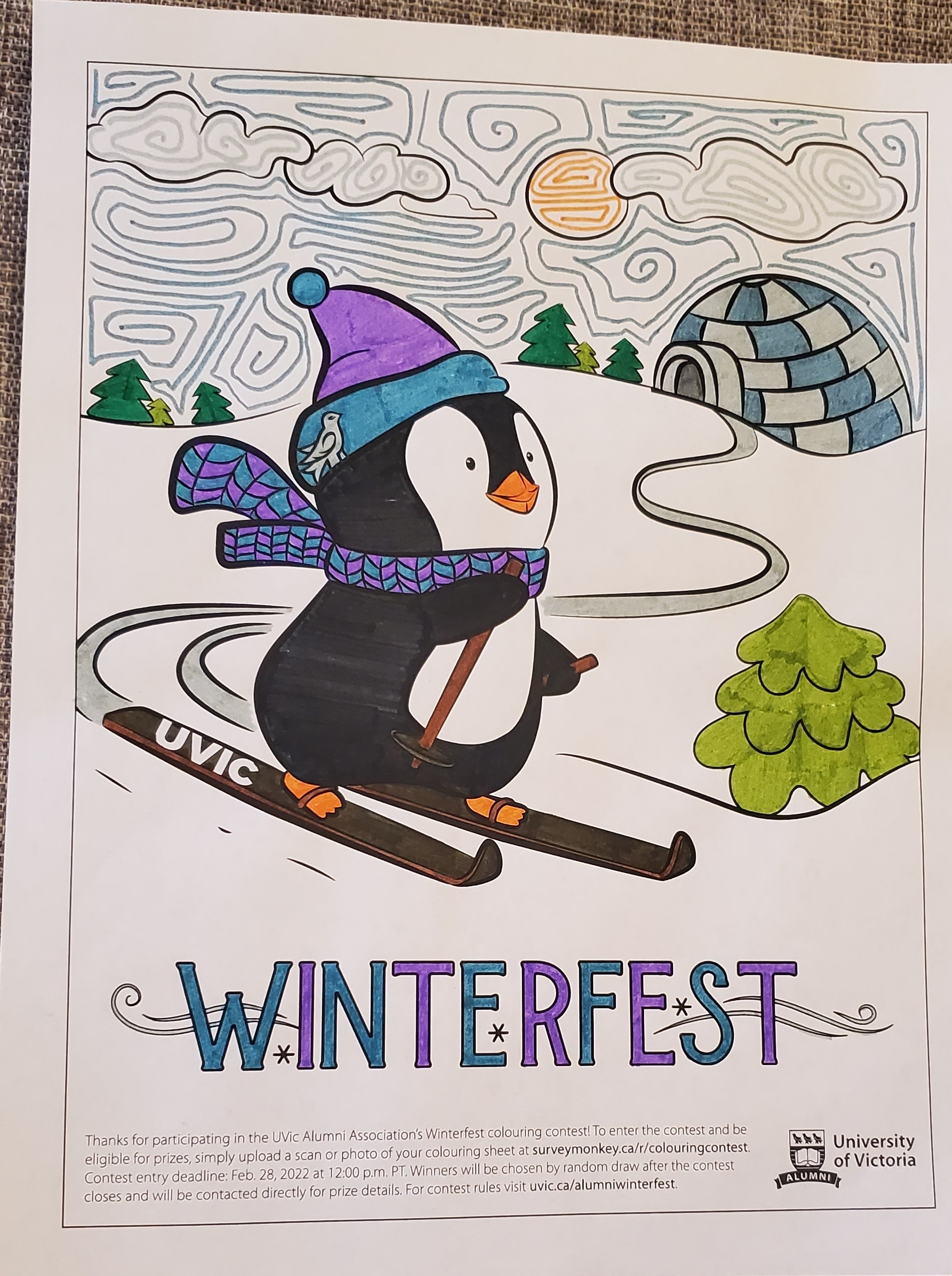 Adult entry for colouring contest 